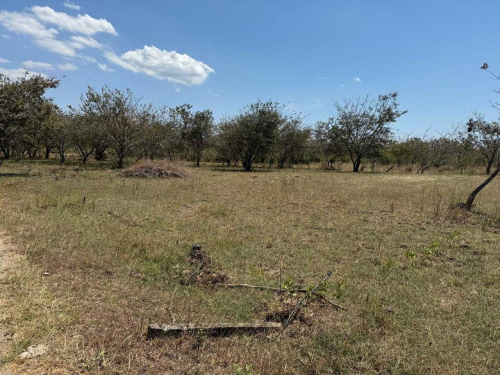 Investment in Villarreal