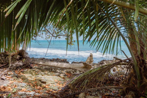 Propiedad frente al mar en Cahuita, Costa Rica